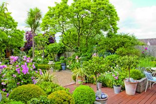 Levelled garden with decking filled with large trees and mixed florals