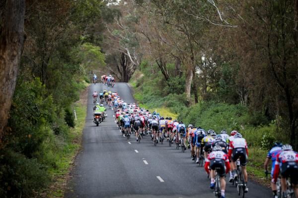 A break of 20 riders punctuated the eighth stage at the Tour of Gippsland