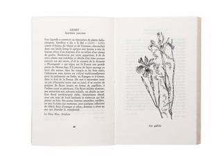 Astier de Villatte book open with drawing of flowers