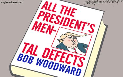 Political cartoon U.S. Trump Mattis administration chaos Fear book Bob Woodward