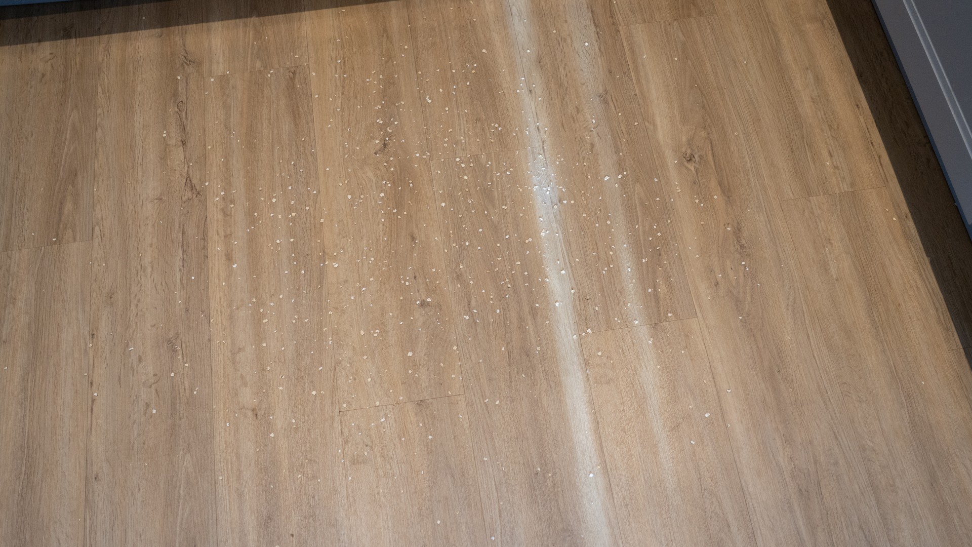 Oats on hard floor