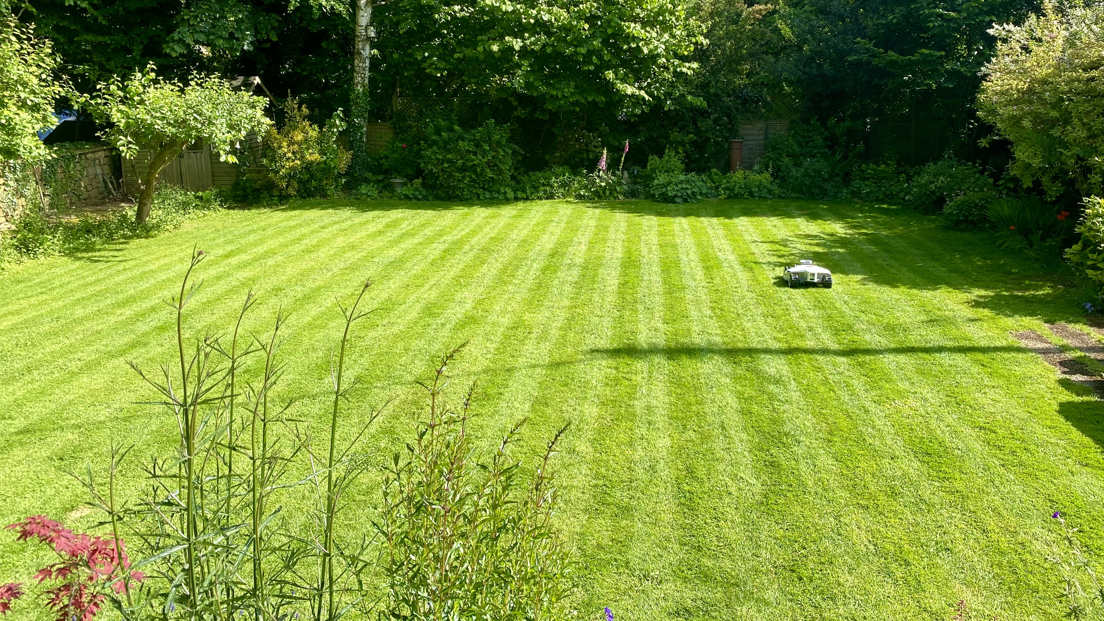Robot lawn mower cutting a lawn in perfect stripes