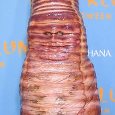 Heidi Klum dressed like a worm