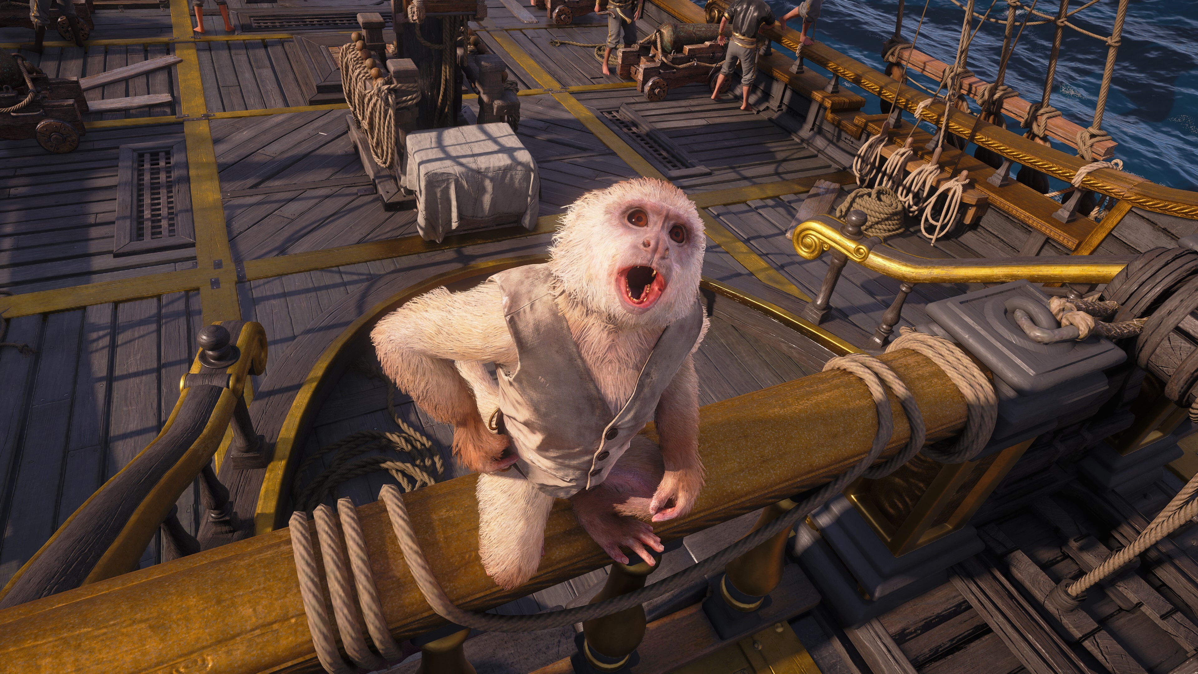 Edward Kenway's pet monkey standing on a ship in Assassin's Creed Black Flag Resynced