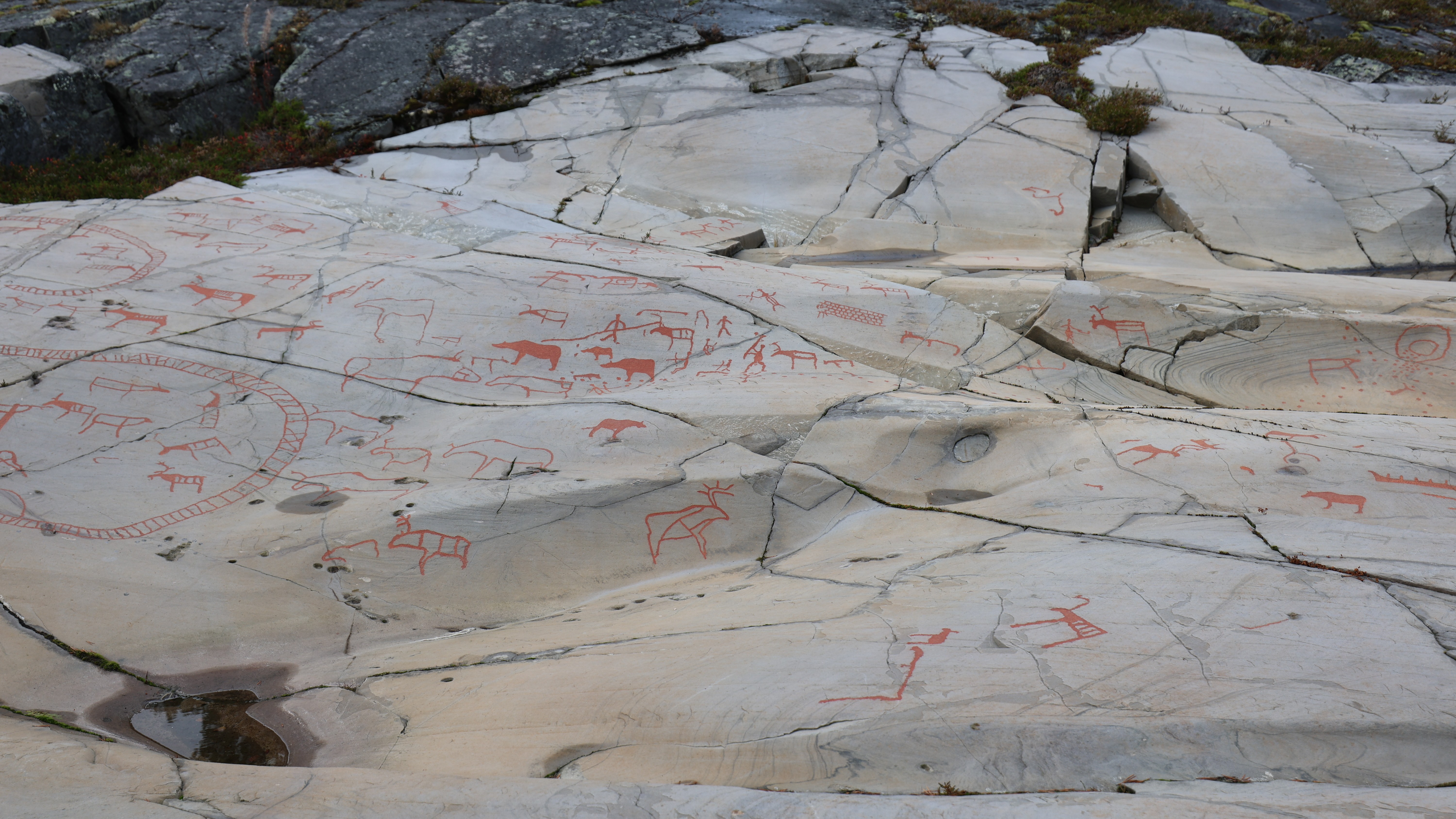 ancient drawings on rocks have been painted red so that they are more obvious.