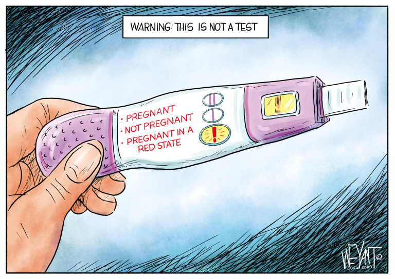 Political Cartoon.
