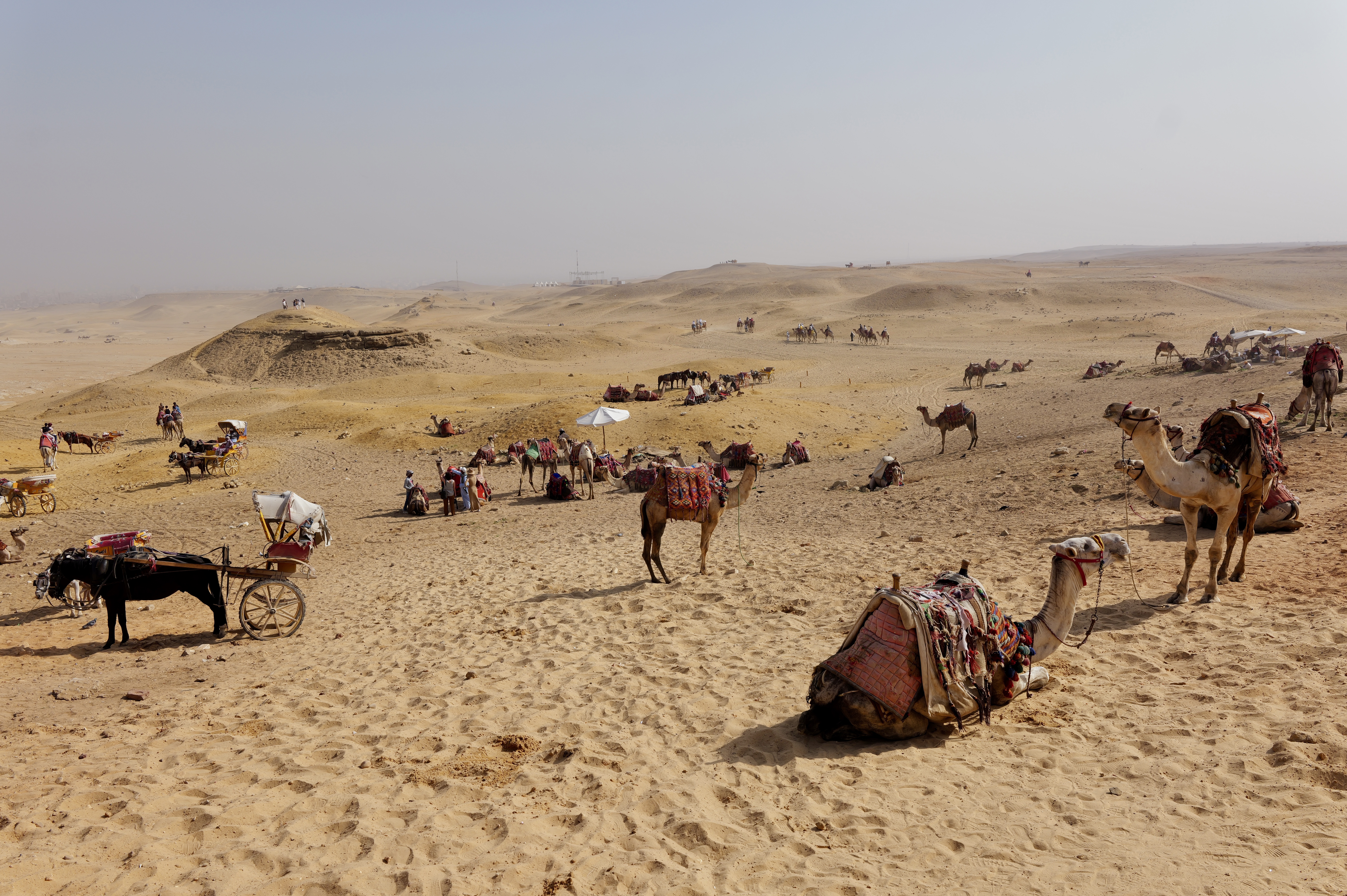 GuruShots - Nature March 2026