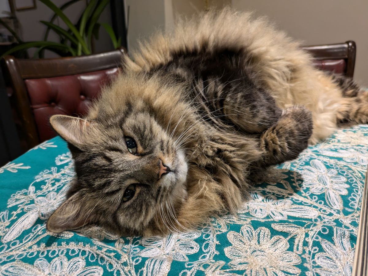 A photo taken on the Google Pixel 8a