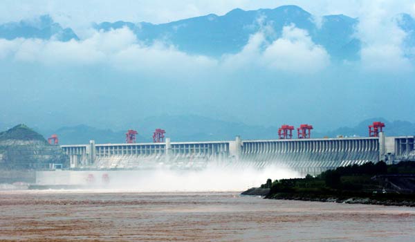 Seminar Rafflesia Arnoldi militia What's the Biggest Dam in the World? | Live Science