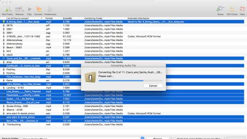 switch audio converter for mac