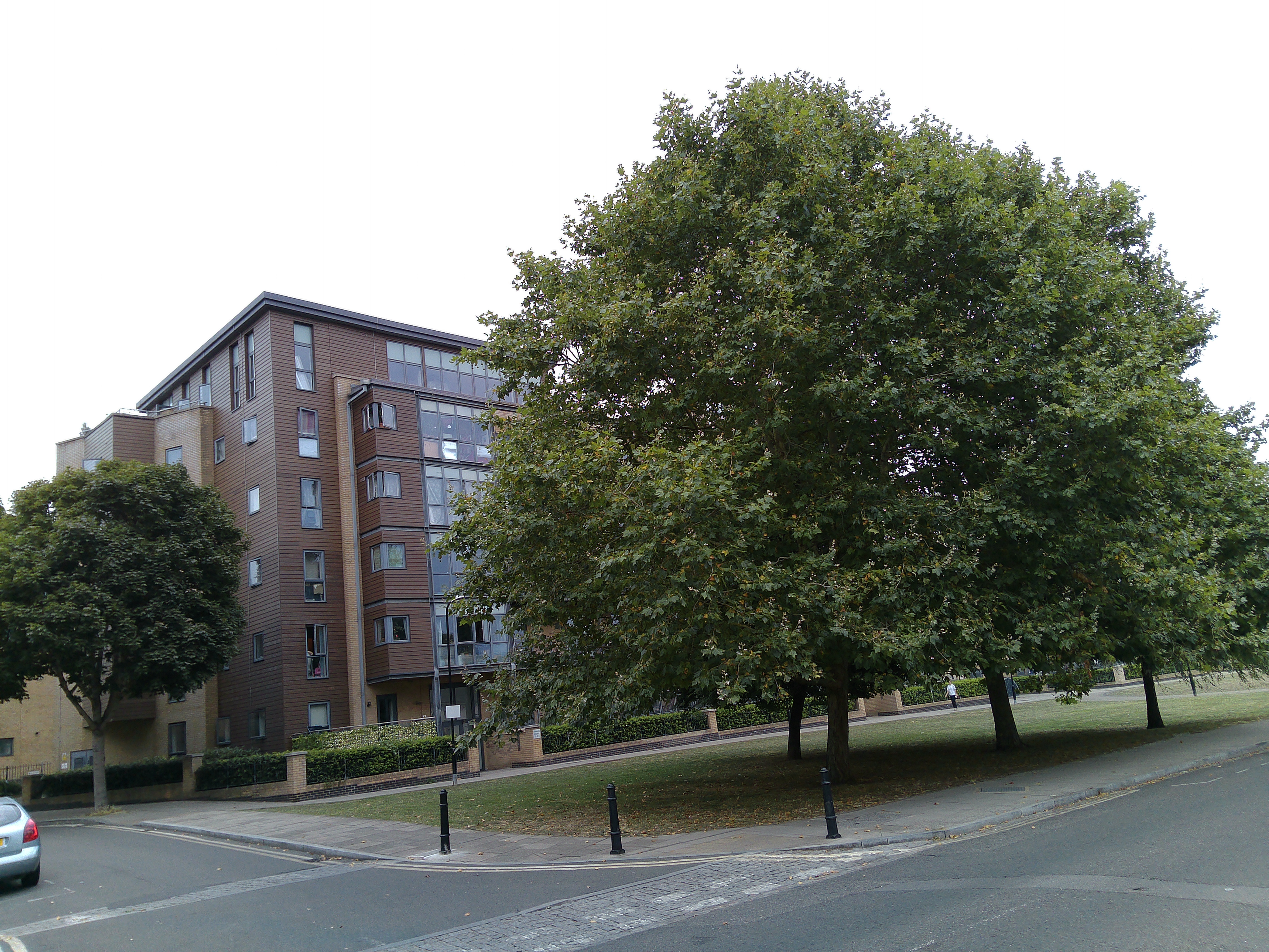 Sample image captured with iVue The Glide camera glasses