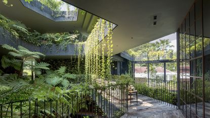 eco-brutalism