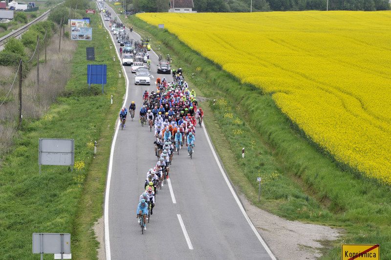 The peloton lined out along the road