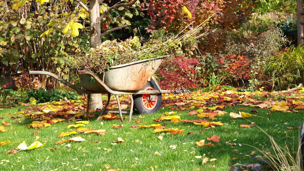 Wheelbarrow in autumn garden