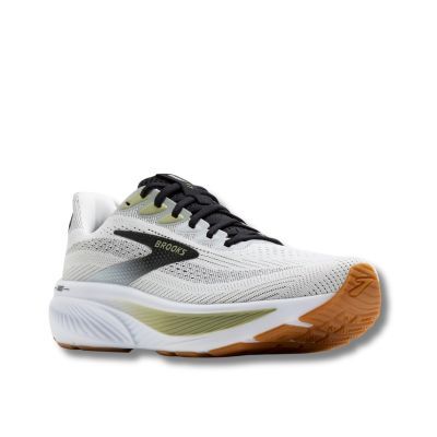 The Brooks Ghost 17 running shoe