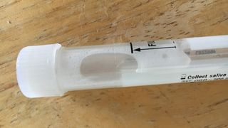 saliva in a collection tube