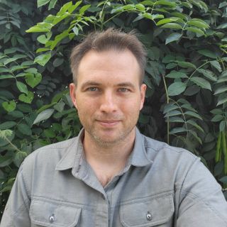 Samsung Galaxy Z Fold 3 camera samples