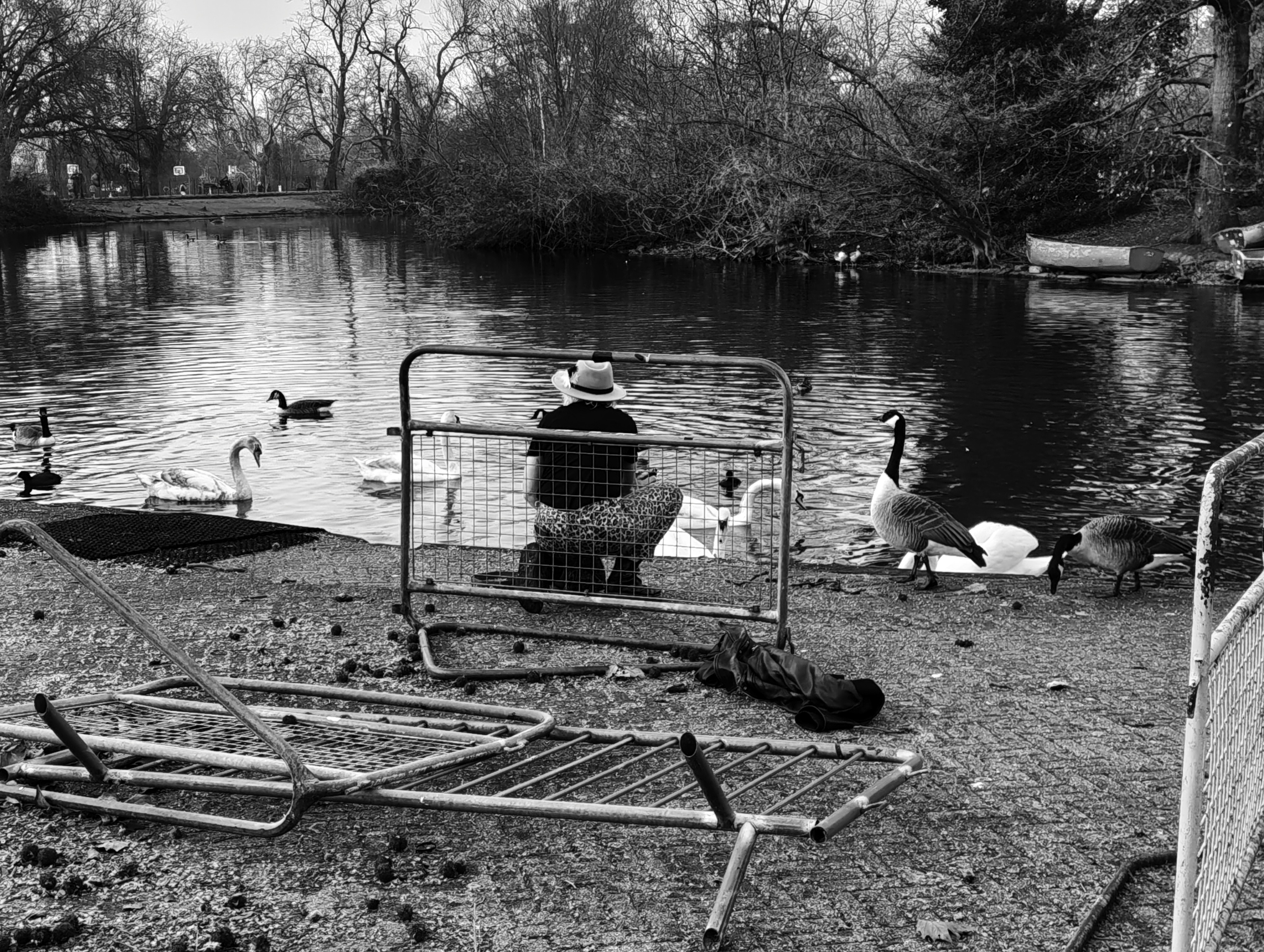 Black-and-white image of a person sitting by a lakeside feeding ducks and swans while geese stand nearby, photographed with the Nothing Phone (4a).