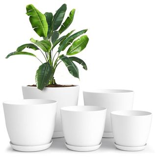 Plant Pots with Drainage