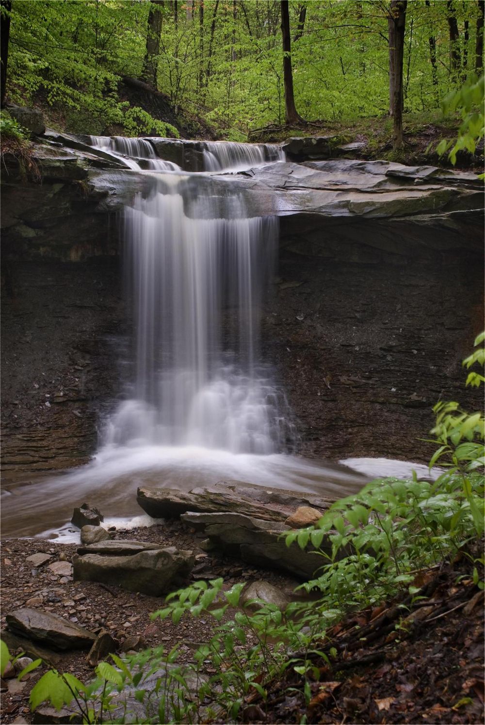 national parks, forests