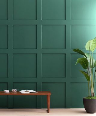 dark green panelled wall with houseplant and wooden bench