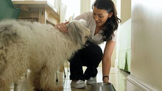 A woman feeding a shaggy dog the best dry dog food