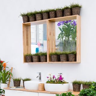 walled wooden shelf with potted plants and white wash basin