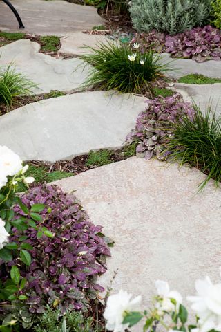 irregular shaped pavers with low growing plants growing inbetween the stones