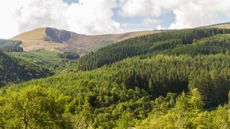 Machynlleth, Wales