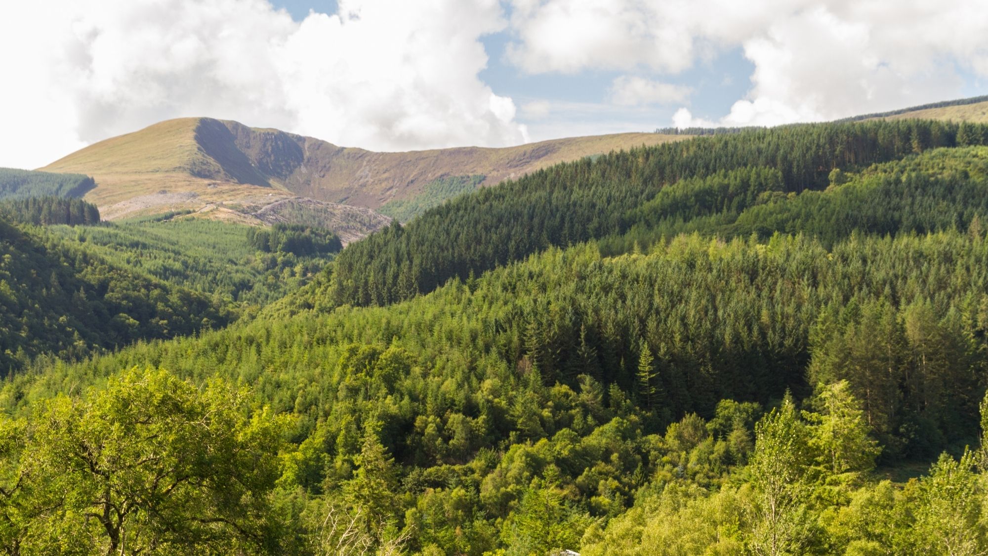 Machynlleth, Wales