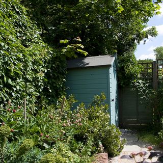 Green shed in garden by planting and fence