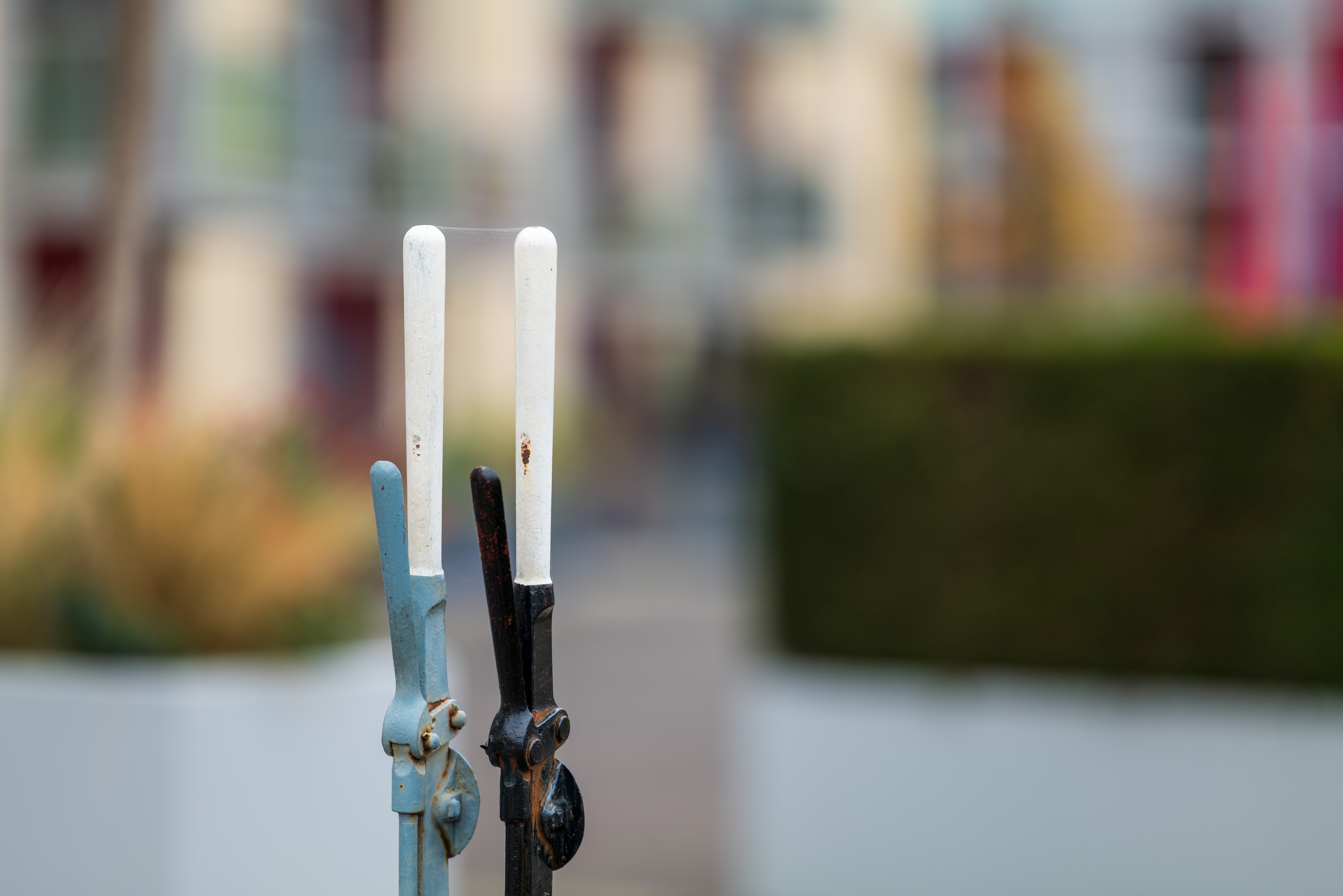 Sigma 135mm f/1.4 DG Art example shot