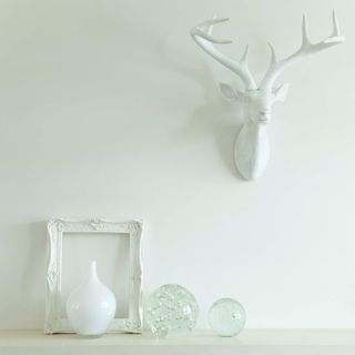 white wall with white deer antler wall piece and white showpieces