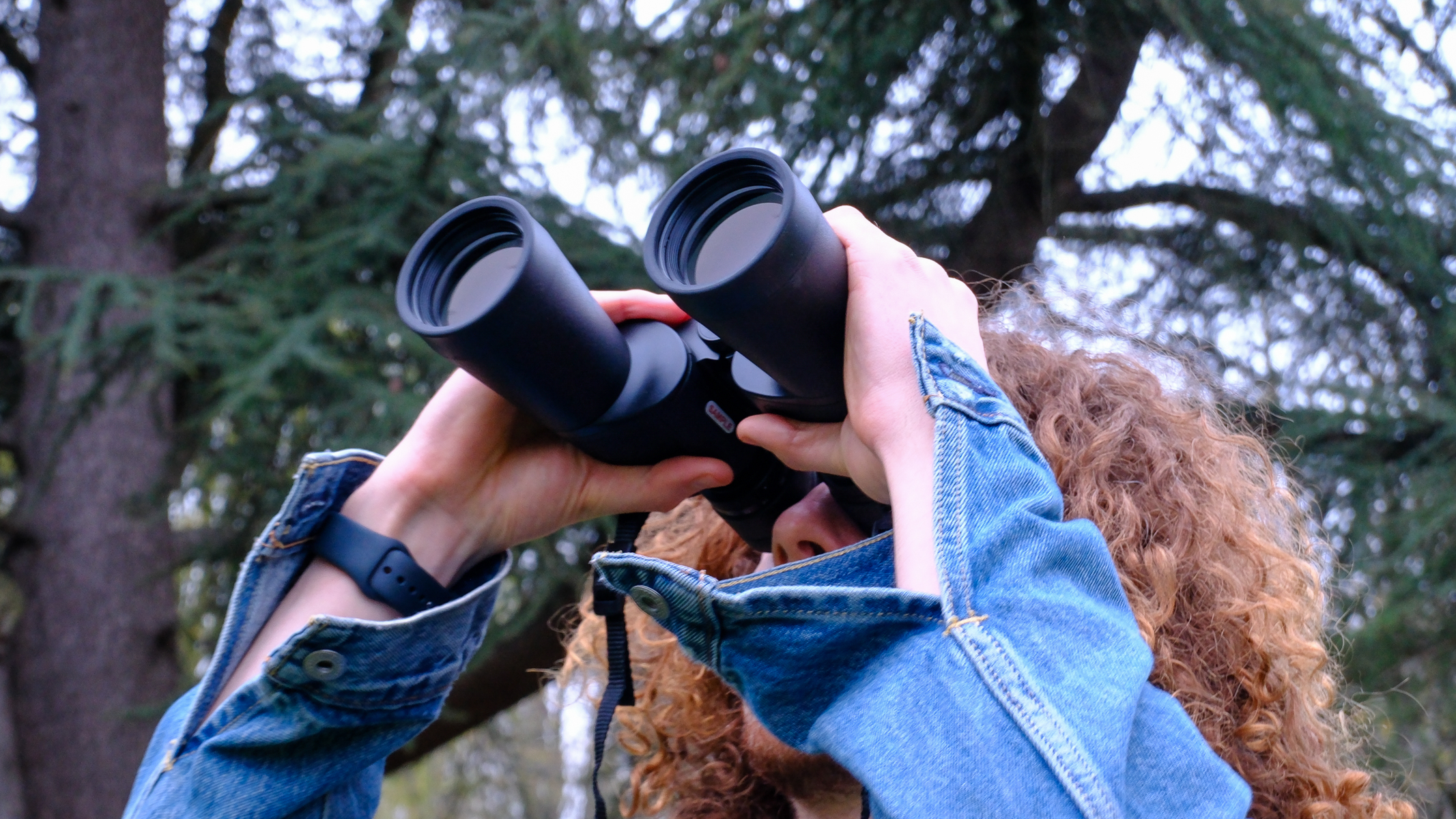 A side view of a man looking upwards through the Nikon Action Zoom 10-22x50 binoculars, with a tree in the background.
