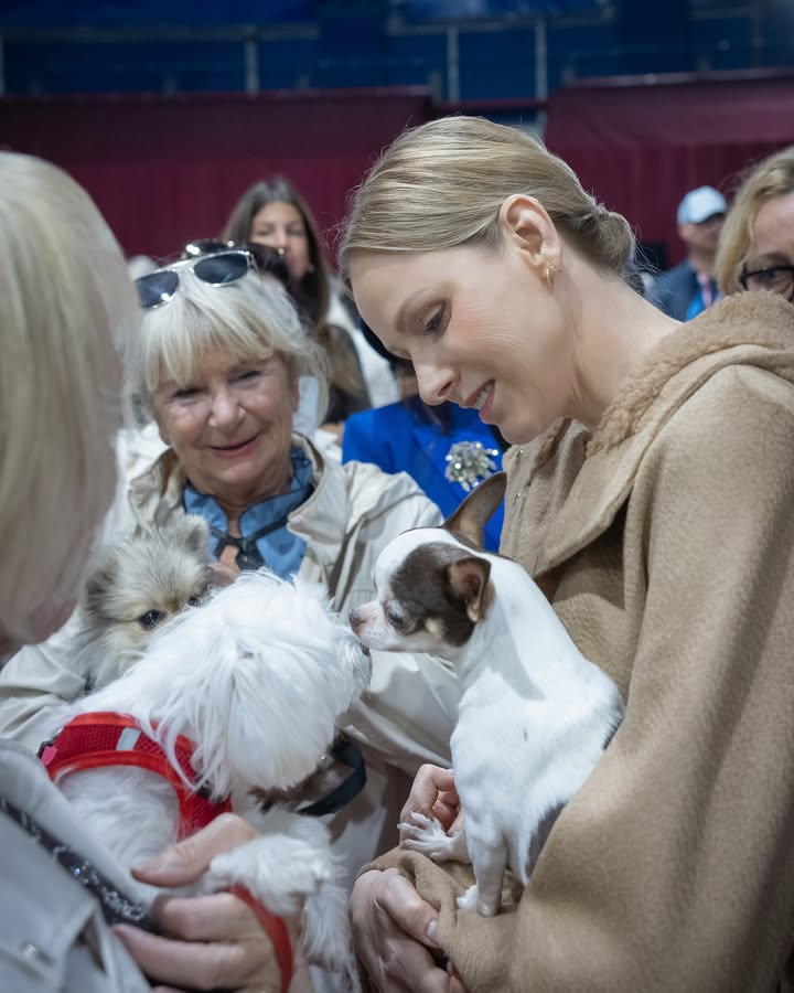 Princess Charlene holding a dog who is sniffing another a dog
