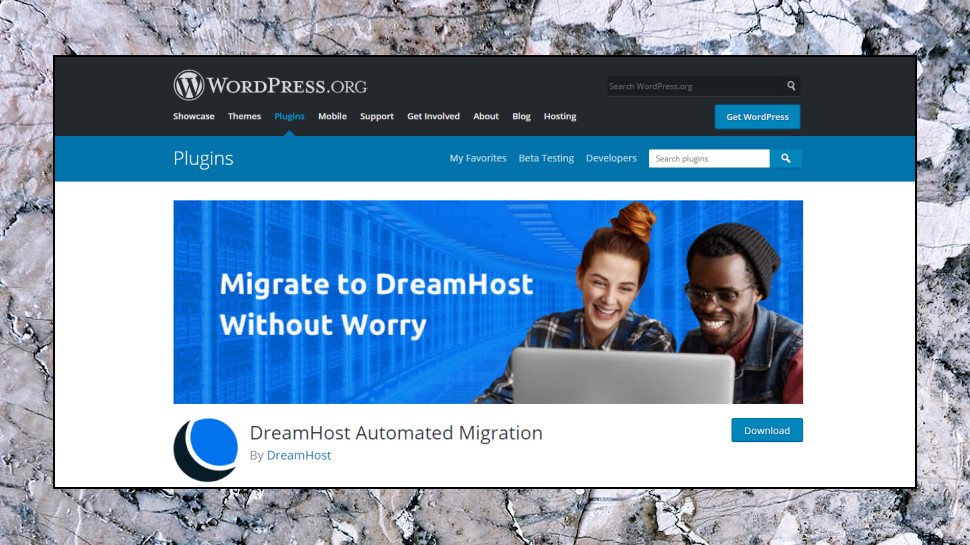 WordPress Plugin