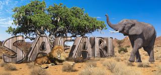 image with safari written on it plus lion and elephant