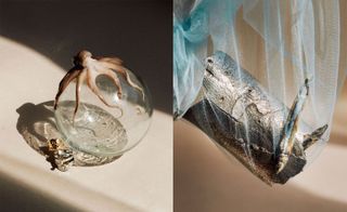 Left, an ornament of a clear glass globe with an octopus on top of it. Right, a blue fishing net with long fish and a silver object inside of it.