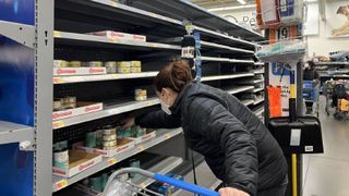 cat food shortage felt on shelves