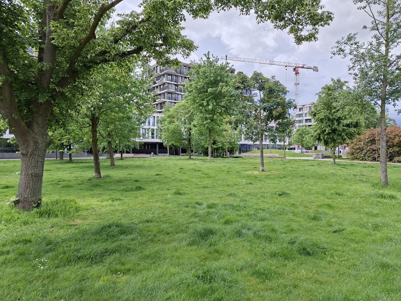 Galaxy A57 voorbeeldfoto