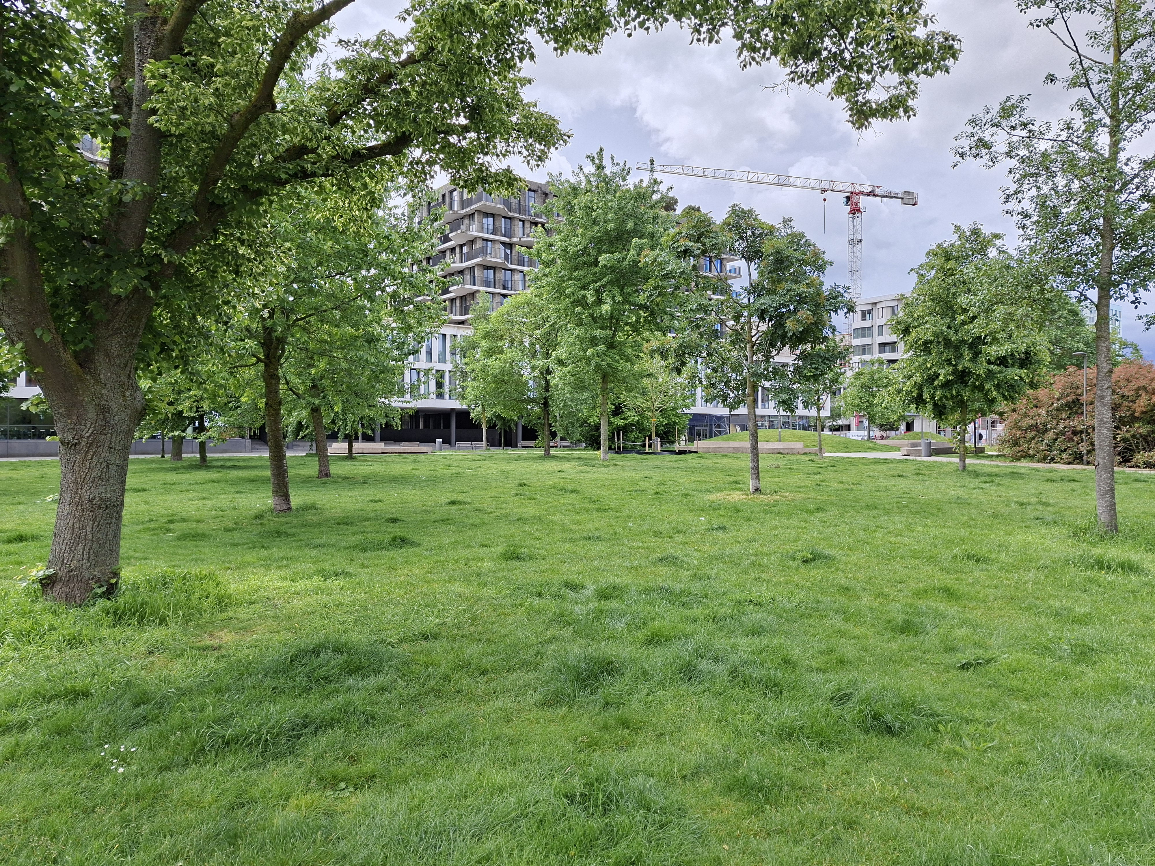Galaxy A57 voorbeeldfoto