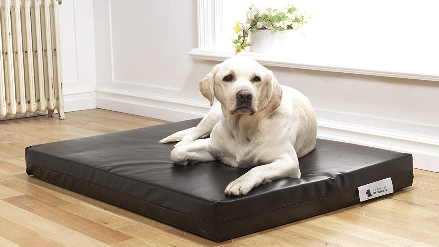 Best dog beds: Maximum Pet Products