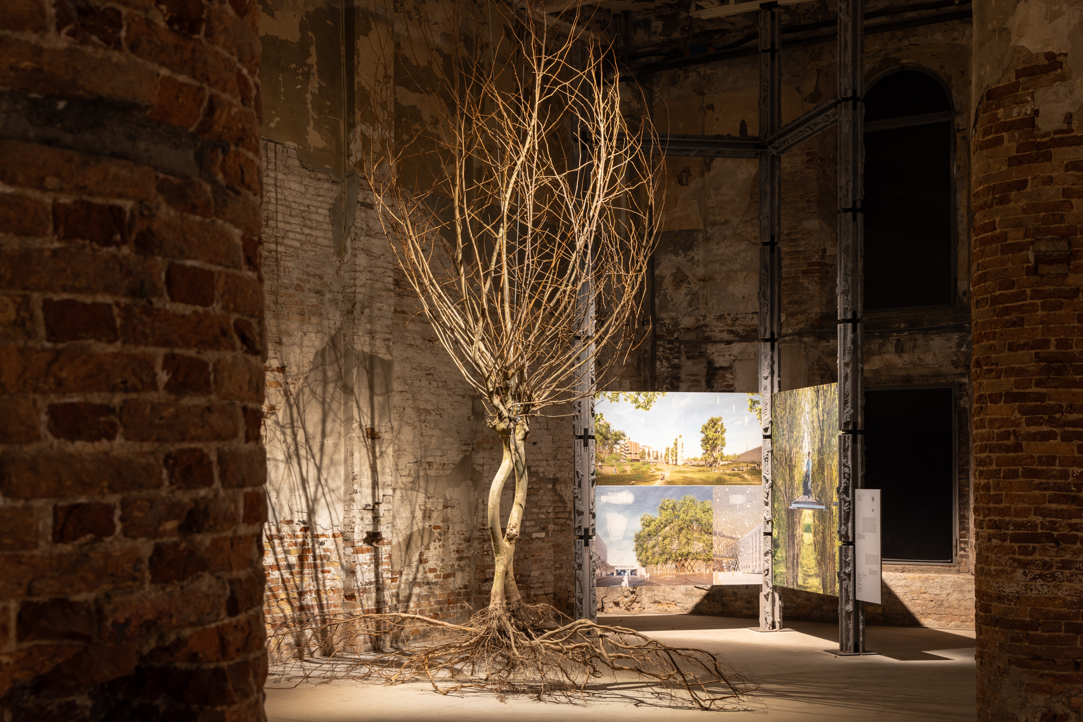 installation views within the arsenale rooms of Intelligens, the main show at venice architecture biennale 2025