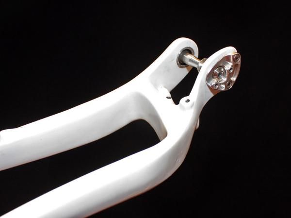 The bare swingarm of the new FSL shows off the direct-mount front derailleur and pass-throughs for the cable and rear brake line.