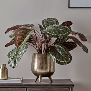 room with faux plant in pot