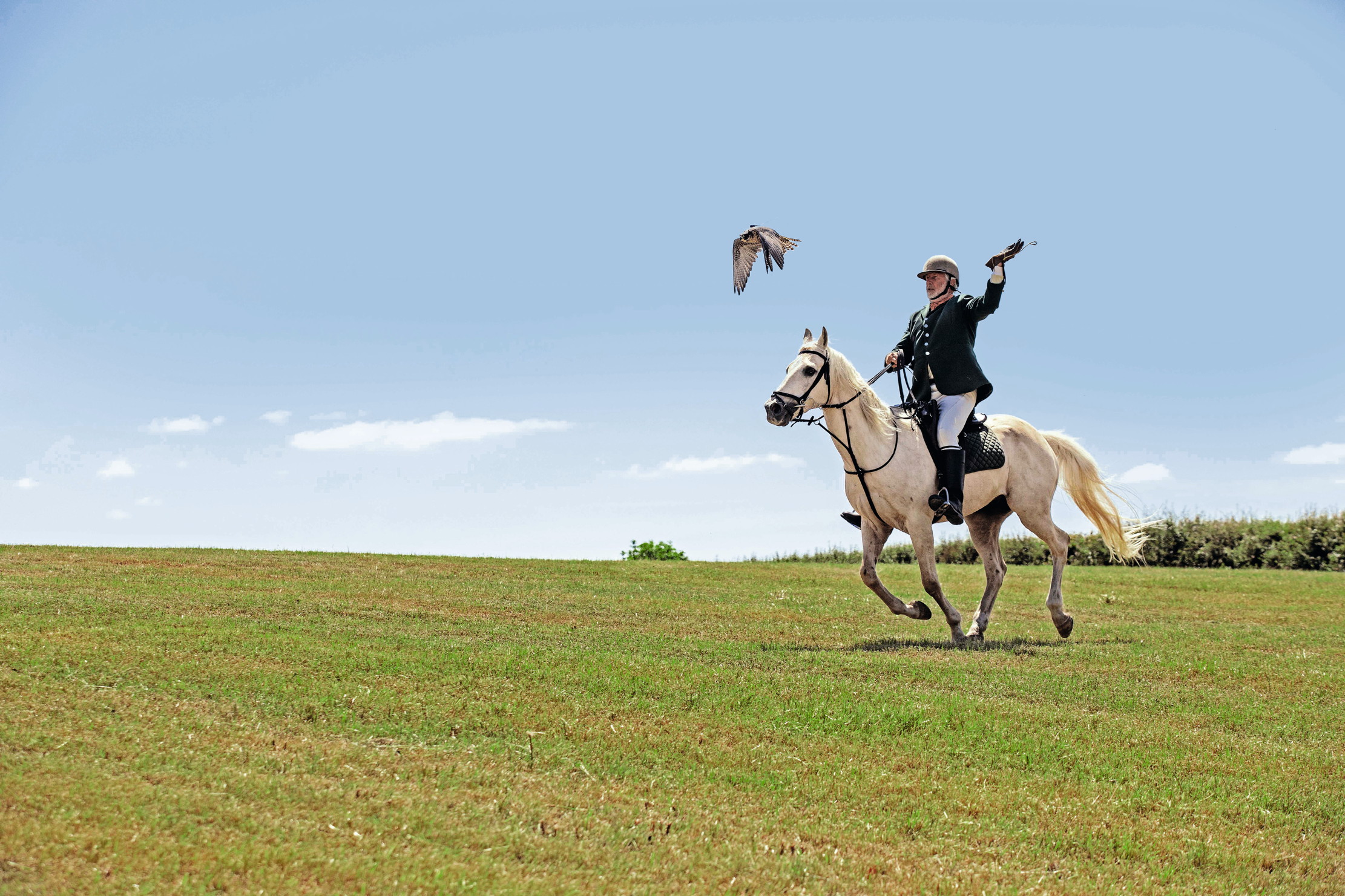 Nick Fox on horseback, hunting with his falcon