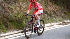 Demi Vollering on the final stage of the Vuelta Femenina 