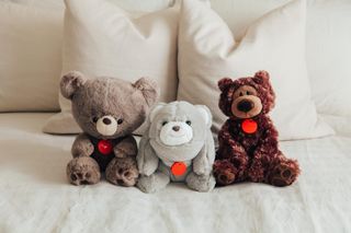 Gund Bears With Chipolo