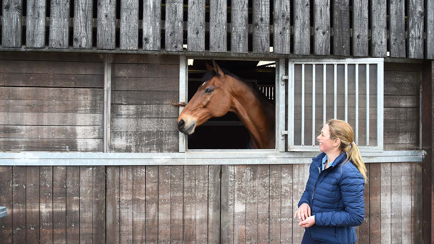 Kitty King's yard: Ceylor Lan