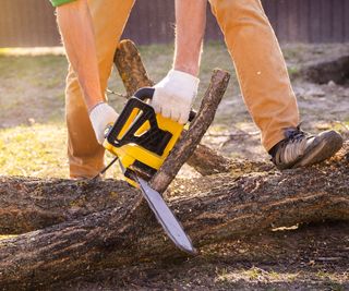 Gardener cutting branches off a tree trunk with a chainsaw
